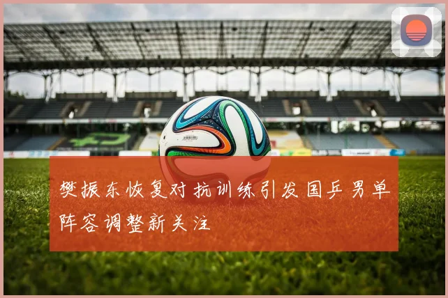 樊振东恢复对抗训练引发国乒男单阵容调整新关注
